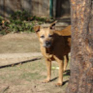 Meet your Posher, Patty